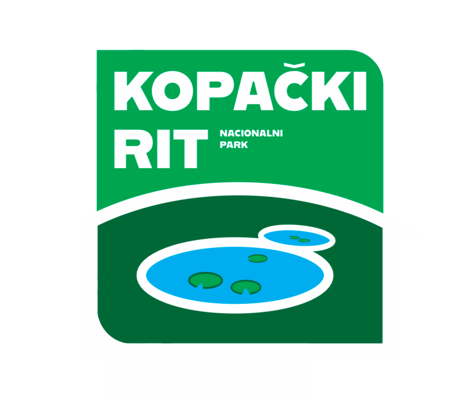 Logo 1