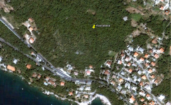 Zelena povrsina - pticja perspektiva